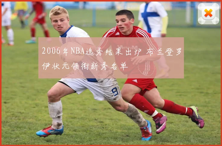2006年NBA选秀结果出炉 布兰登罗伊状元领衔新秀名单