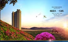 青島企業(yè)廣告設計制作公司的地產活動