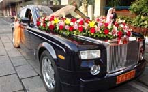 萊西婚車租賃公司的影視資料