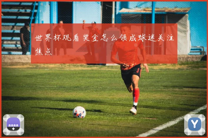 世界杯观看奖金怎么领成球迷关注焦点