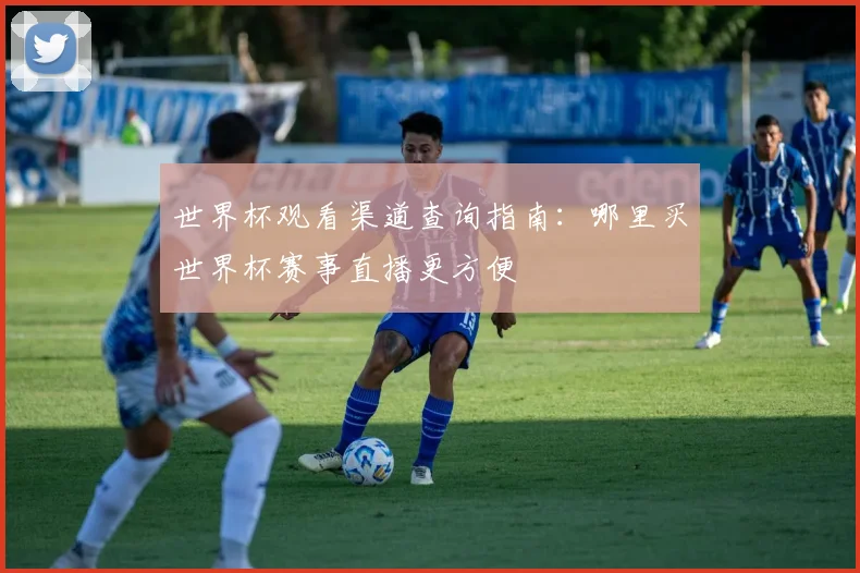 世界杯观看渠道查询指南：哪里买世界杯赛事直播更方便