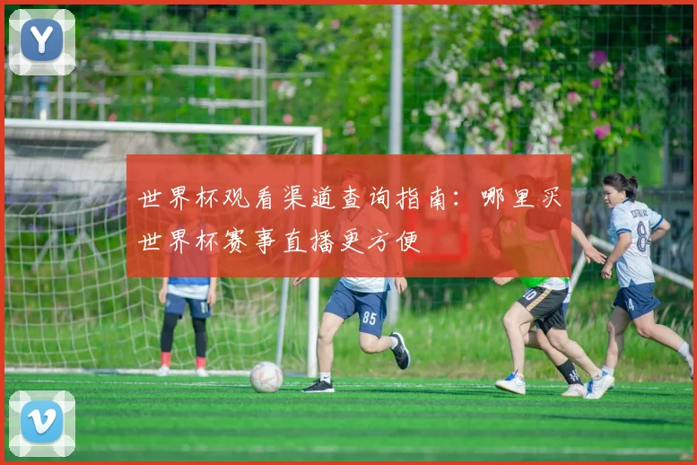 世界杯观看渠道查询指南：哪里买世界杯赛事直播更方便