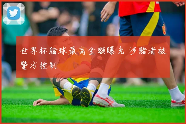 世界杯赌球最高金额曝光 涉赌者被警方控制