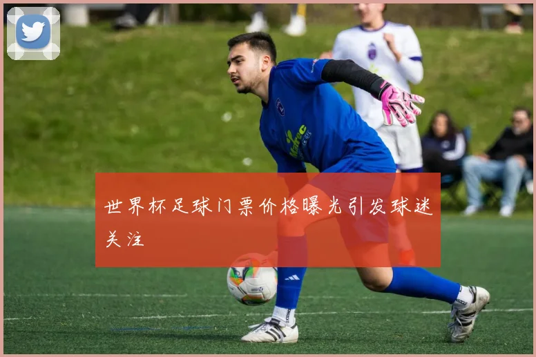 世界杯足球门票价格曝光引发球迷关注