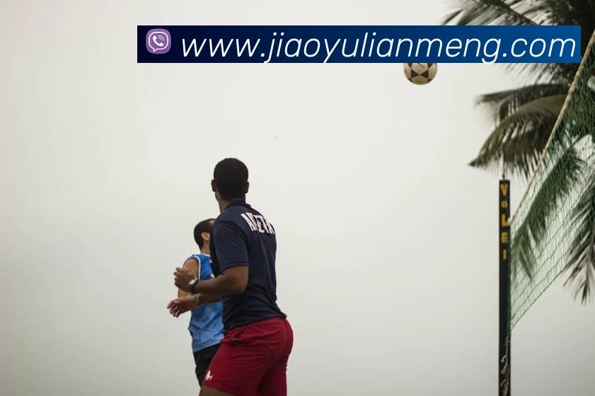 App Interface Preview